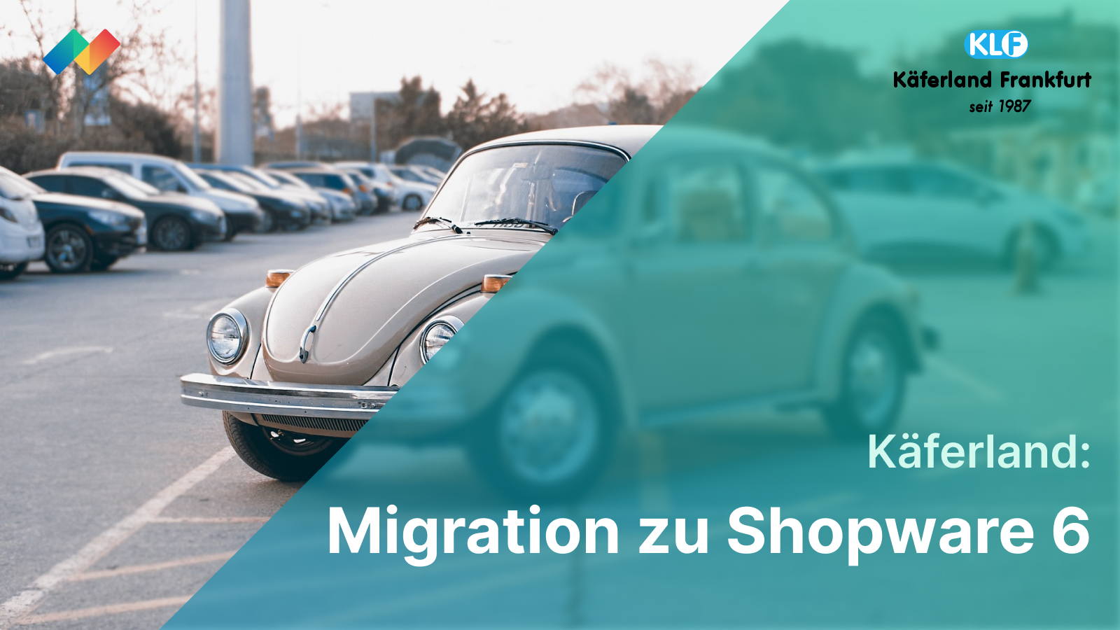 Migration zu Shopware 6 für den Käferland Onlineshop
